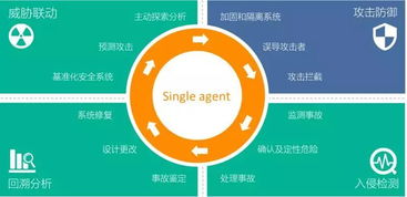 青藤獲2億元B輪融資，研發大腦扎根光谷加速網絡安全技術創新