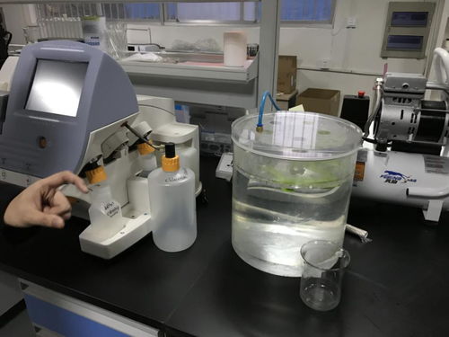 貝愛益生全國(guó)合伙人齊聚科爾工廠，零距離見證羊初乳CPP復(fù)合粉安全生產(chǎn)與網(wǎng)絡(luò)安全技術(shù)研發(fā)